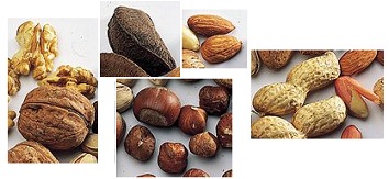 Nuts, for
                      example walnut, Brazil nut, almonds, hazel nuts,
                      and peanuts