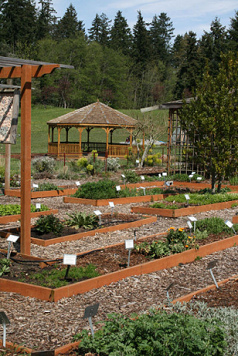 Bastyr-Universitt in
                      Seattle, der Krutergarten