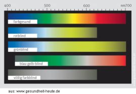 Escalas de colores de gente con
                            daltismo