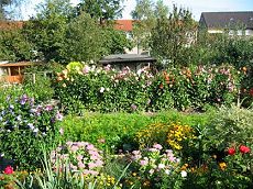 Farbiges Leben regt den Geist an, z.B.
                            mit einem Garten mit Blumen