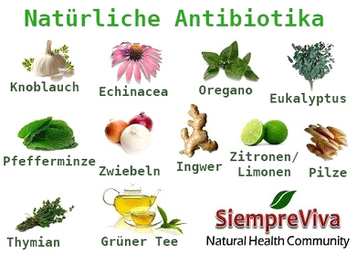 Natürliche Antibiotika: Knoblauch,
                        Echinacea, Oregano, Eukalyptus, Pfefferminze,
                        Zwiebeln, Ingwer, Zitronen / Limonen, Pilze,
                        Thymian, Grüntee
