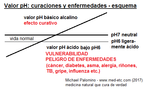 El
                                esquema del valor de pH con valores
                                cidos bajo pH6 vulnerable para
                                enfermedades, entre pH6 y pH7 para la
                                vida normal, con valor neutral pH7, y
                                con valor bsico alcalino curativo sobre
                                pH7