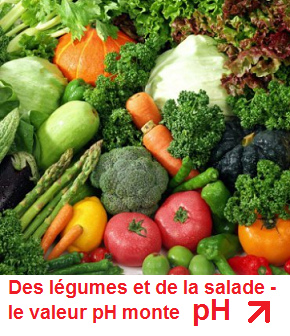des légumes et du salade, le valeur
                              pH monte