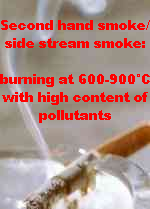 Cigarette with second
                            hand smoke (side stream smoke): burning at
                            600-900°C with high content of pollutants