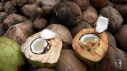 Cocos