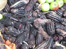 Ma�z /
                  choclo negro