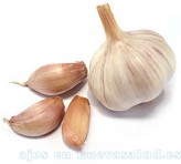 Ajo