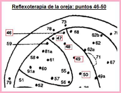 La oreja con los
                            puntos 46 a 50