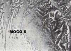 Mocos