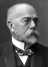 Robert Koch, portrait