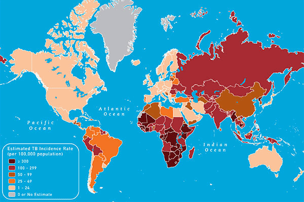 World
                        map with the estimated TB rates in 2009