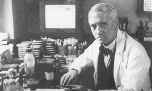 Alexander Fleming in the
                        laboratory