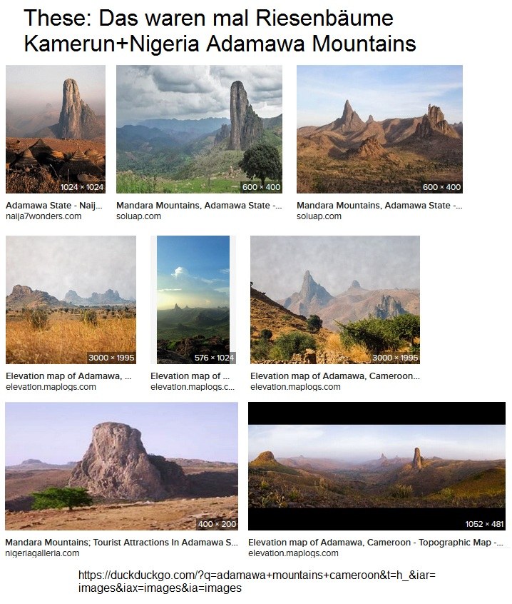 Riesenbaumstümpfe in Afrika 2025 Riesenbaumstümpfe in Afrika 2025