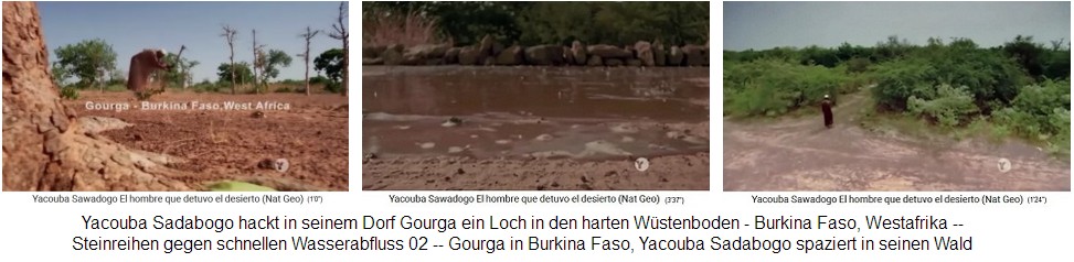 Zeitbombe Verwüstung
                        überwinden: Der Wald von Yacouba Sadabogo mit
                        Zai-Technik (Loch mit Dung und Kompost, sowie
                        Steinreihen) in Gourga in Burkina Faso