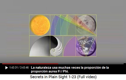 La naturaleza con la proporcin urea (nmero
                      ureo) Fi / Phi