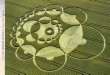 Kornkreis: Energie-Blumen-Mandala - crop
                    circle: energy flower mandala