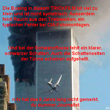 Der WTC-Anflug auf
                        den Sdturm ist ein schlechter Trickfilm (02)