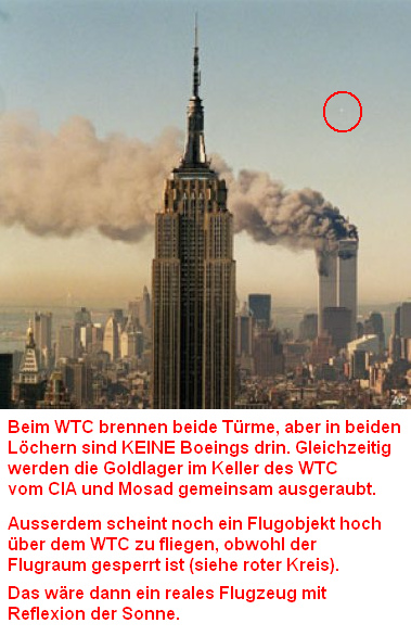 Beide WTC-Trme
                        brennen (02)