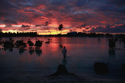 Kiribati, Palmen
                                auf einer Insel stehen im Wasser