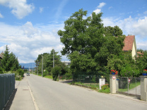 Corcelles: Route des Grands Longs Champs
                          03, ein Nussbaum