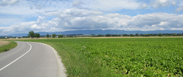 Corcelles: Route des Grands
                                      Longs Champs nach dem
                                      Bahnbergang, freies Feld, ein
                                      wunderschnes Panorama