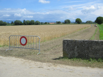 und hier ist der Weg zum Kornkreis, mit
                          allgemeinem Fahrverbot