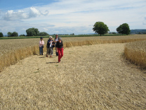 Kornkreis-Panorama, Blick in Richtung
                          Corselles