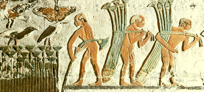 Papyrus-Abtransport
                              in gypten 01, Relief