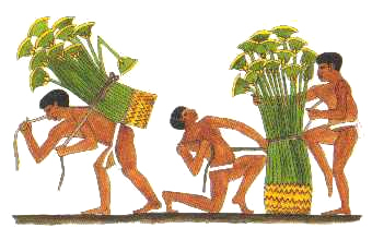 Papyrus-Abtransport in gypten
                                  02, Abbildung