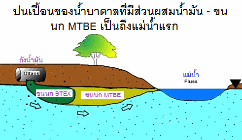 จำนวนโครงการ ที่ 09: ขน
                                          นก MTBE เป็นถึงแม่ น้ำครั้ง
                                          แรก [19] น้ำ ในแม่น้ำกลาย
                                          เป็นกิน ไม่ได้