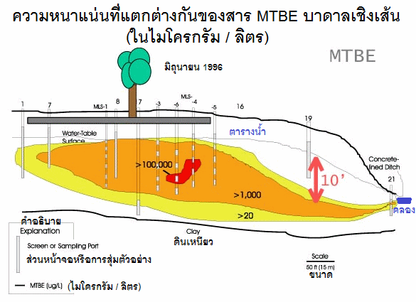 จำนวนโครงการ ที่ 11: ขน นก MTBE
                                    ยัง มีความ หนา แน่นที่ แตกต่าง กัน