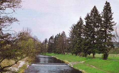 Intact protected
                              landscape in Riehen with Wiese River
                              ("Meadow River") in Riehen near
                              Basel