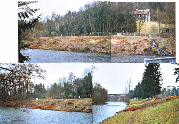 Bau der
                                kriminellen Zollfreistrasse mit der
                                Zerstrung des Landschaftsschutzgebietes
                                von Riehen