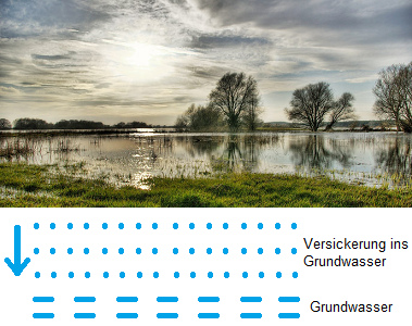 Flussaue an der Elbe bei Doemitz,
                              Deutschland [42], mit Darstellung der
                              Grundwasserversickerung