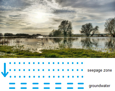 River flood plain at Elbe River near
                              Doemitz in Germany, with an added scheme
                              how the water is seeping to the
                              groundwater