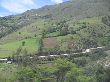 Felder mit Baumreihen und Gebüsch
                                  als Abgrenzung zwischen Ayacucho und
                                  Andahuaylas in den Anden von Peru