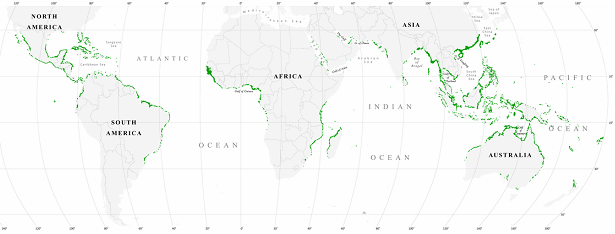 Weltkarte der
                                        Mangrovenwlder vom Jahre 2000