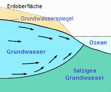 Schema Salzwasser
                                mit Grundwasser 1, Grundwasser
                                entwssert ins Meer, darunter das
                                Salzwasser
