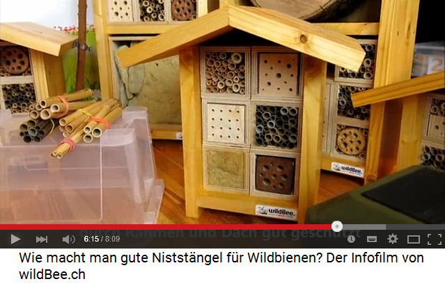 Wildbienenhaus fr
                                          Wildbienen mit Schilfrohr und
                                          Bambusrohr