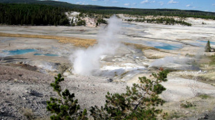 USA: Tourist in kochend
                                      heiem Geysir gestorben (Bild:
                                      AP)