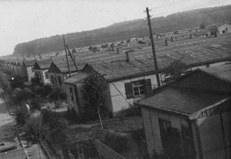 DP-Lager
                    Ziegenhain südlich von Bonn 1946-1947