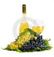 Wein mit Trauben der Reben: Virtueller
              Wasserverbrauch bis zu 480 Liter pro halber Liter wegen
              Bewsserung der Reben